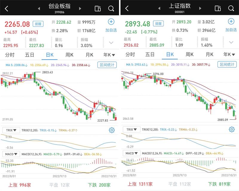 沪指失守2900点：超3200只个股收涨，超百股涨逾9%