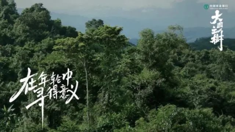 水哥王昱珩探访自然“对话”珍稀树种《大国之树》疗愈上线
