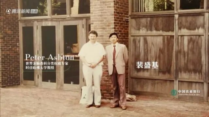 水哥王昱珩探访自然“对话”珍稀树种《大国之树》疗愈上线