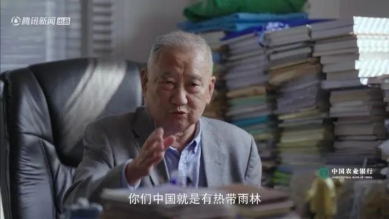 水哥王昱珩探访自然“对话”珍稀树种《大国之树》疗愈上线