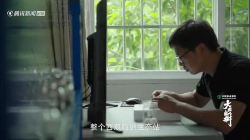 水哥王昱珩探访自然“对话”珍稀树种《大国之树》疗愈上线