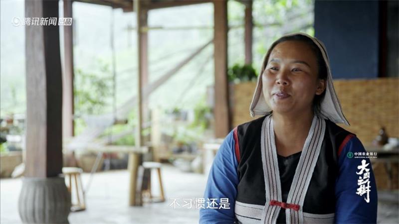 人文自然纪录片《大国之树》挖掘独特树种背后故事 内容情绪共鸣引新思考