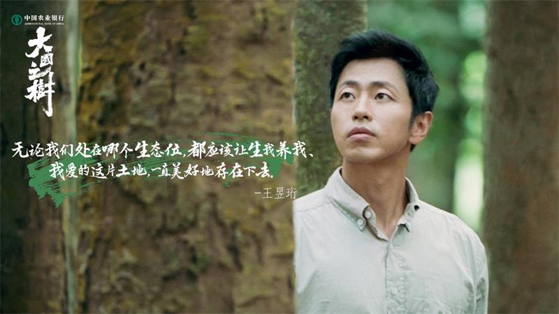 人文自然纪录片《大国之树》挖掘独特树种背后故事 内容情绪共鸣引新思考