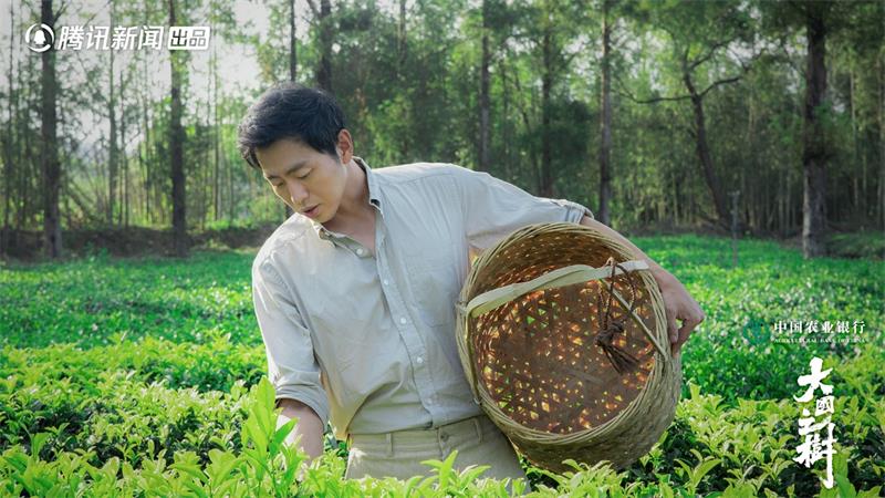 在年轮中寻得意义，踏山林间对话自然《大国之树》串联历史生态传承人文