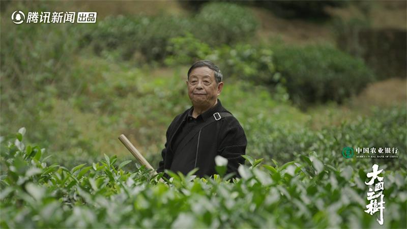 在年轮中寻得意义，踏山林间对话自然《大国之树》串联历史生态传承人文