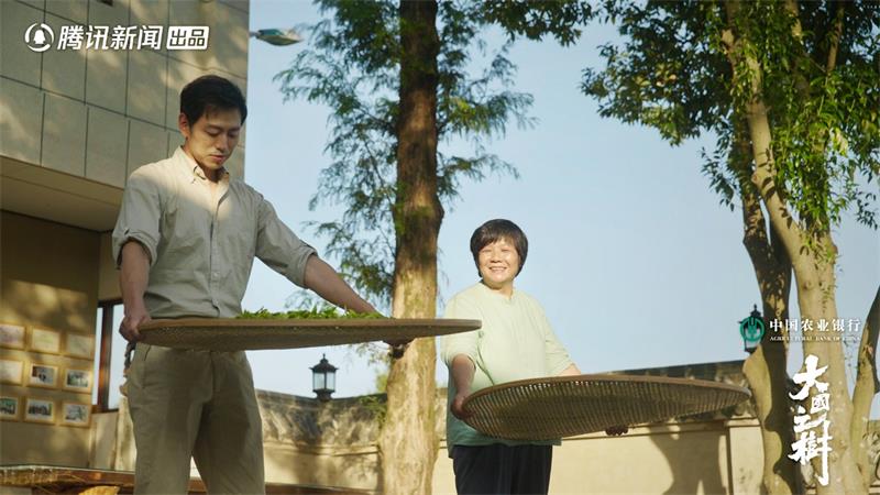在年轮中寻得意义，踏山林间对话自然《大国之树》串联历史生态传承人文