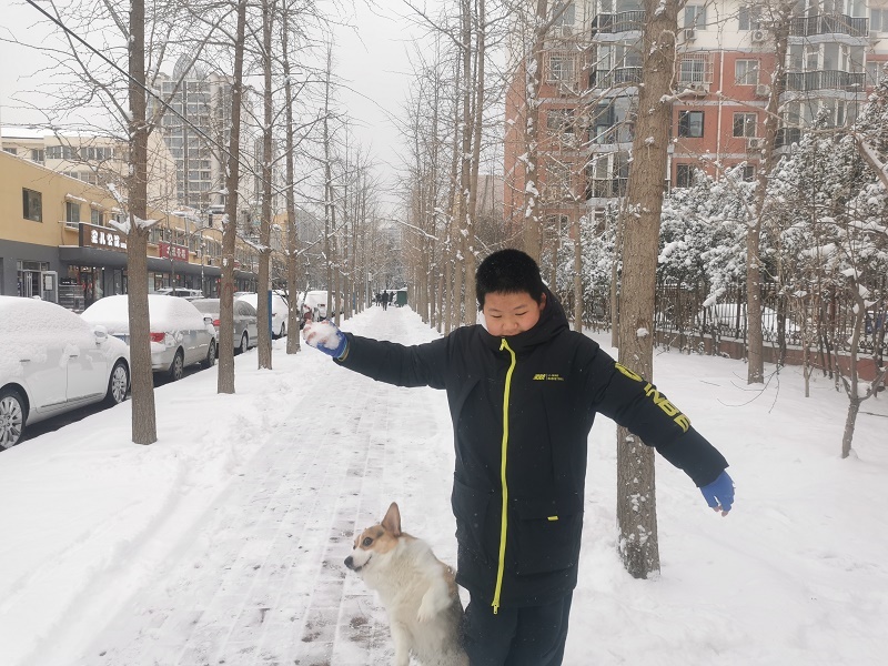 中央气象台继续发布暴雪蓝色预警 京津冀等地部分地区有大雪