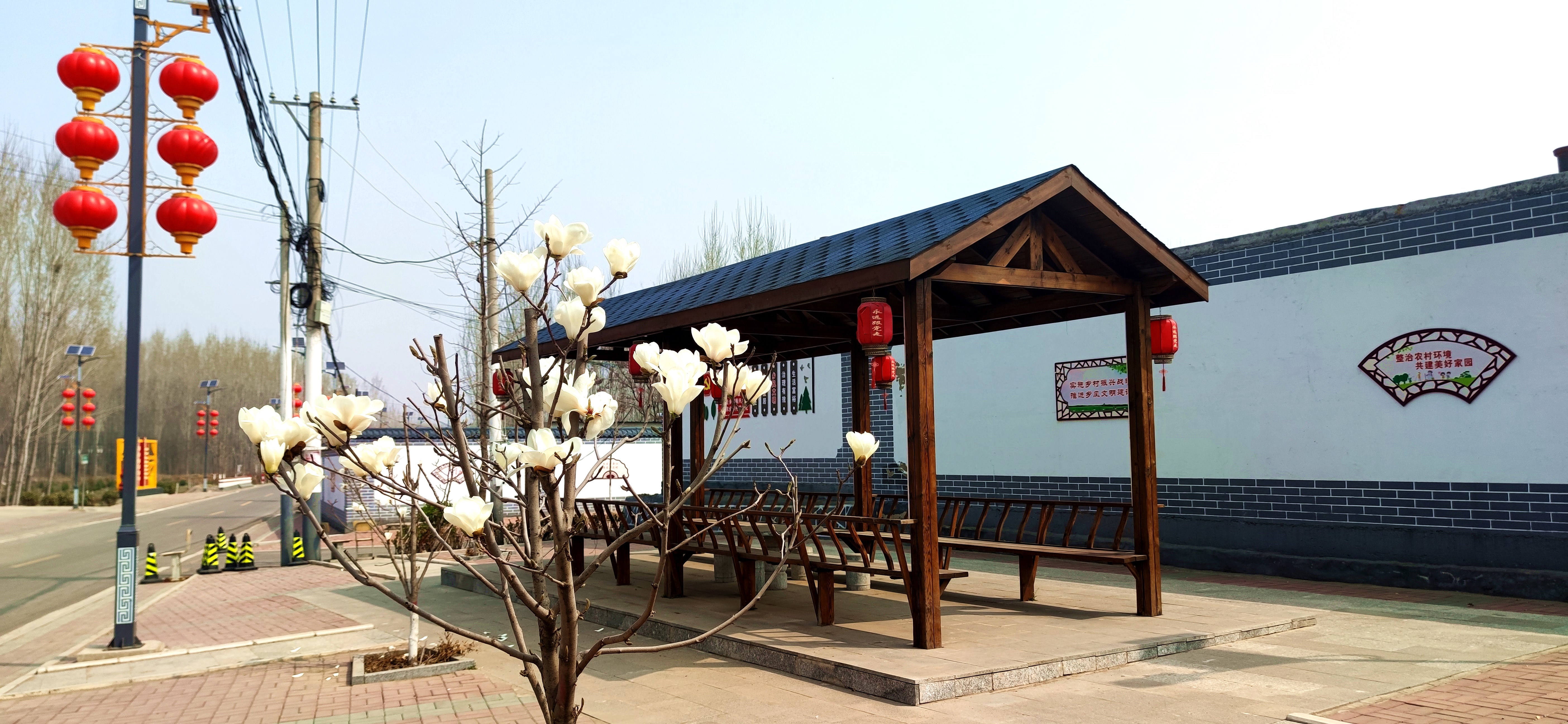 河北滦州：乡村春景入画来