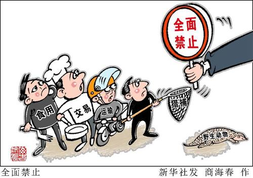京版野生动物保护管理条例提前审议