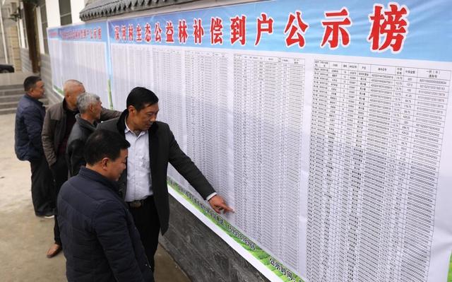 竹山县天然林停发管护和生态公益林更新补偿有序推进