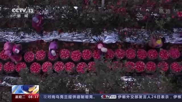 从“跟着感觉走”到“数据说了算”！信息技术推进智慧农业发展