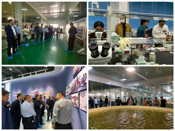 枣庄、济宁两驻市中心联合在微山湖湿地  开展大学习、大讨论、大调研、大培训活动
