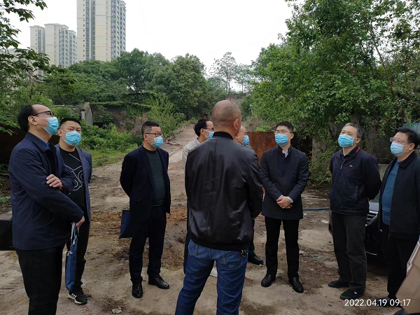 衡阳市石鼓区人大专题调研生态环境保护工作