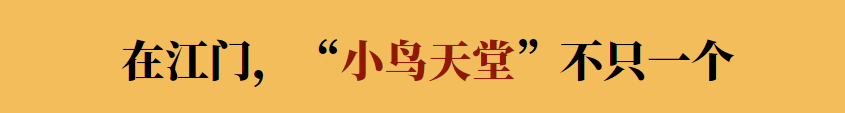 《狂飙》中的京海市，原型比你想像中还……