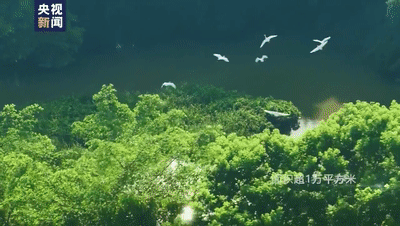《狂飙》中的京海市，原型比你想像中还……
