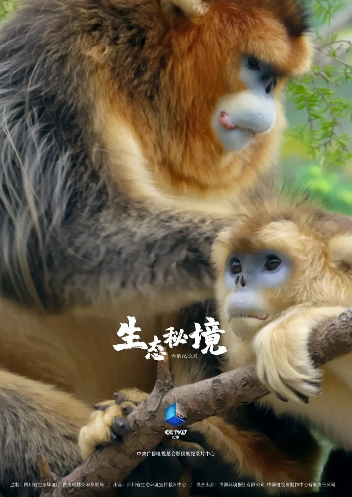 国家广播电视总局发布2022年度优秀网络视听作品推选活动评审结果 纪录片《生态秘境》获选网络纪录片优秀作品