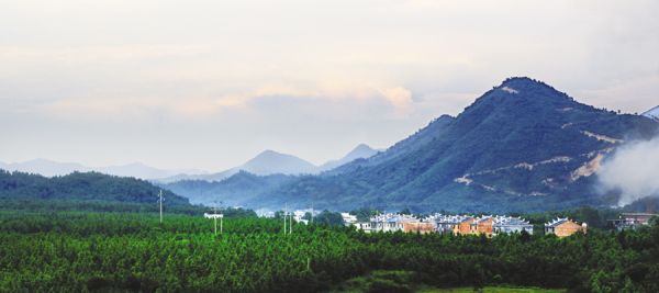 让乡村成为生态旅游胜地——青原河长制助力全域旅游景区建设纪实