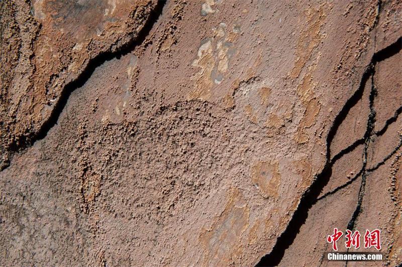 玉树通天河中上游地区首次发现古岩画遗存