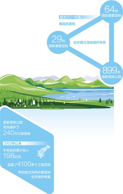 法治守护湿地之美（美丽中国）