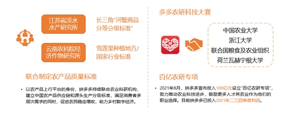 乡村数字经济高速发展，拼多多助推“数商兴农”