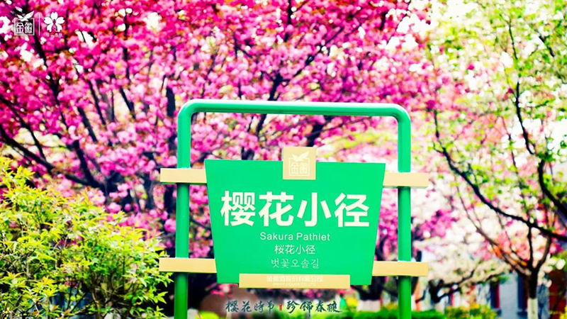 云赏金徽，共鉴2022年“樱花时节 珍稀春酿”