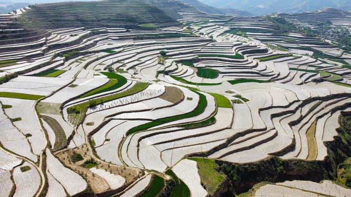 粮稳天下安：中国全方位夯实粮食安全根基