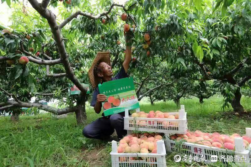 党组织领办合作社激活无棣县乡村振兴的“一江春水”