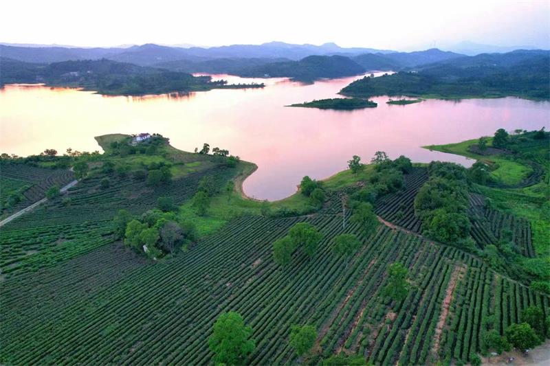 湖北大悟九房沟省级湿地公园建设（一期）项目正式启动