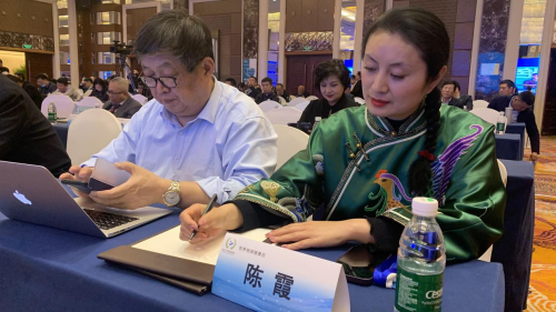 陈霞基金会协办“绿色发展·时代呼唤”世界地球健康日峰会