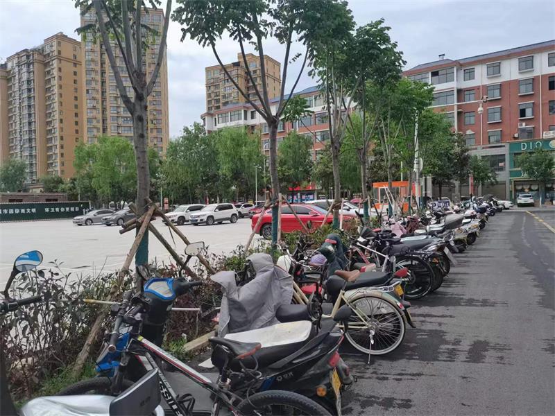 河南西峡县： 巡察为民办实事 停车费终于降下来了
